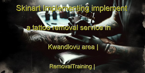 Skinart Implementing implement a tattoo removal service in Kwandlovu area | RemovalTraining | RemovalClasses | SkinartTraining-South Africa